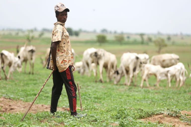 Un berger à Gwagwalada , au Nigéria, le 4 juin 2024 (Kola Sulaimon)