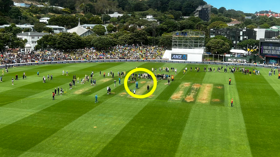 Cricket fans walk around at the Basin Reserve.