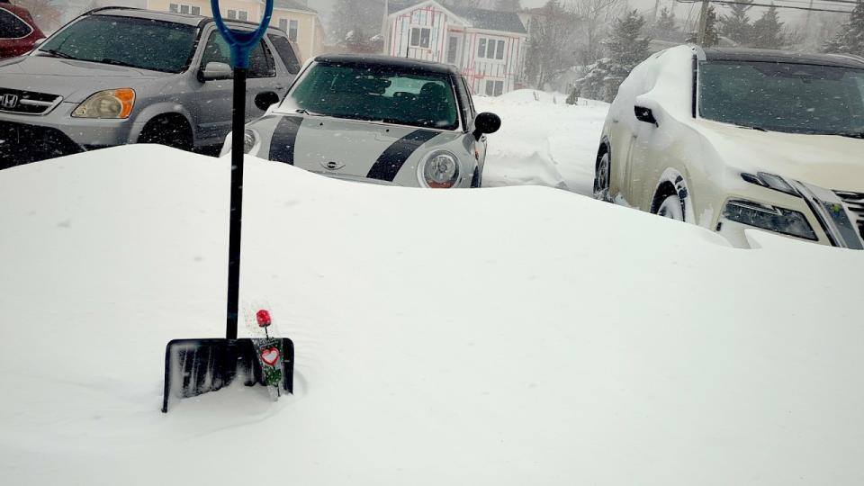 Snow piling up quickly as intense nor'easter batters Atlantic Canada