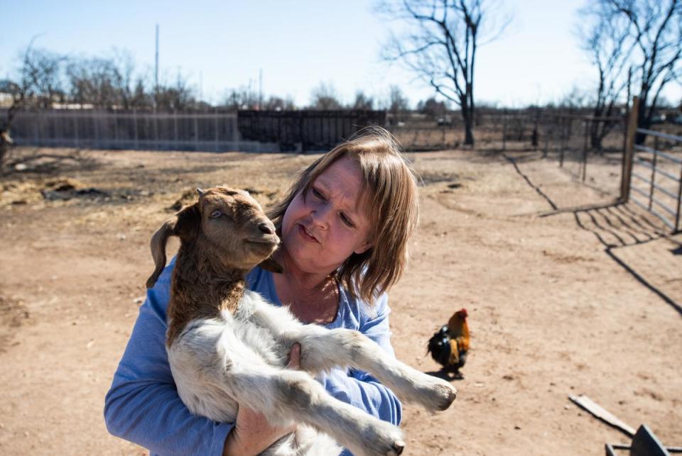 Deana McBroom holds one of their baby goats that survived the fire Friday, March. 1, 2024, in Fritch, Texas. Most of their livestock survived the fire.