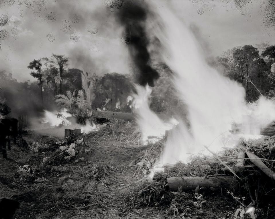 Richard Mosse, Mass Burn, Rondônia, 2021. Courtesy of the artist and Jack Shainman Gallery, New York