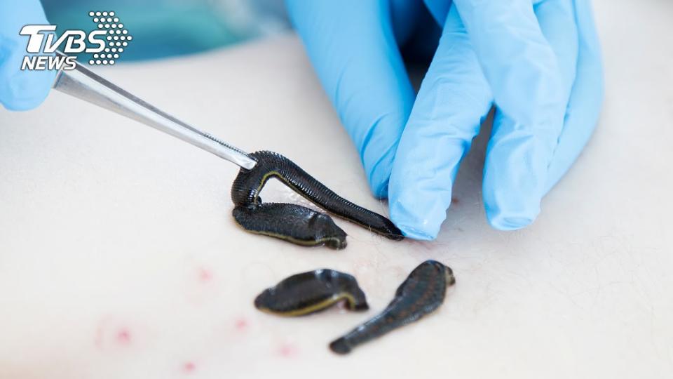 近期出現許多將水蛭當寵物餵養的「飼主」。（示意圖／shutterstock達志影像）