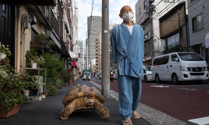 Photo:  Tomohiro Ohsumi (Getty Images)