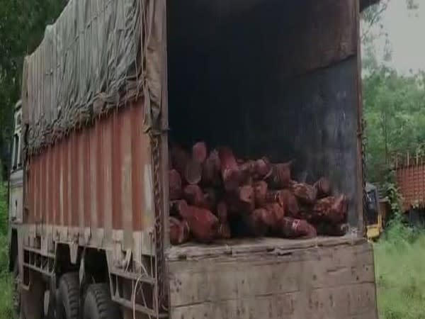 The 194 sanders logs weigh more than 6 tonnes. [Photo/ANI]