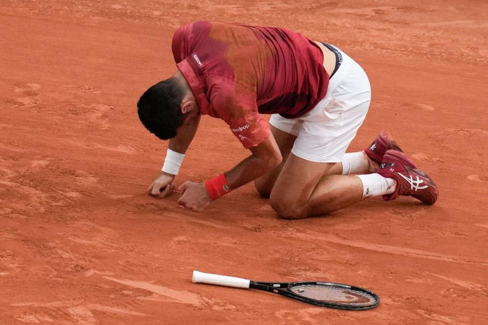 Djokovic has pulled out of the French Open (AP)