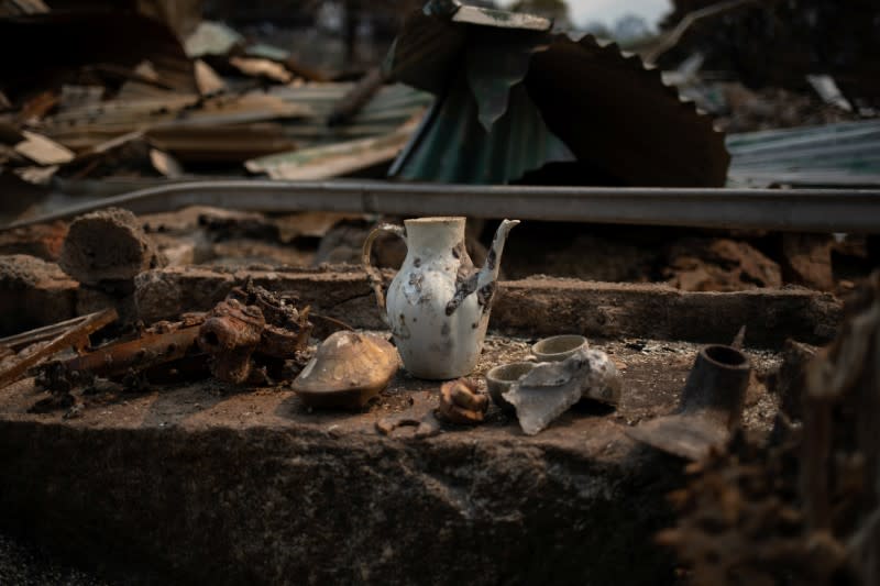 The Wider Image: From Australian bushfire ashes, a community rises in solidarity