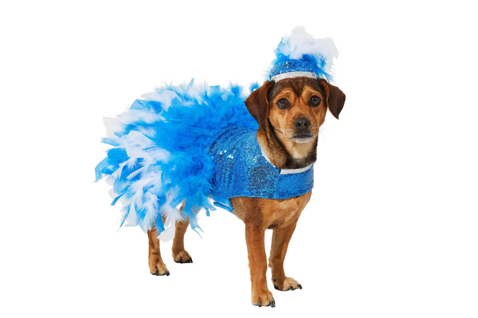 <p>Dogs who love being the center of attention would do great in this flashy dancer costume. </p> <p><strong>Buy it!</strong> Showgirl Dog Costume, $17.99; <a href="https://www.anrdoezrs.net/links/8029122/type/dlg/sid/PEO25HalloweenCostumesforDogsthatWillHaveTrickorTreatersHowlingwithJoykbender1271PetGal12909733202109I/https://www.chewy.com/frisco-showgirl-dog-cat-costume/dp/287480" rel="sponsored noopener" target="_blank" data-ylk="slk:Chewy.com;elm:context_link;itc:0;sec:content-canvas" class="link ">Chewy.com</a></p>