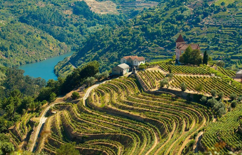 You can enjoy a leisurely cruise along the Douro - PRG-Estudio