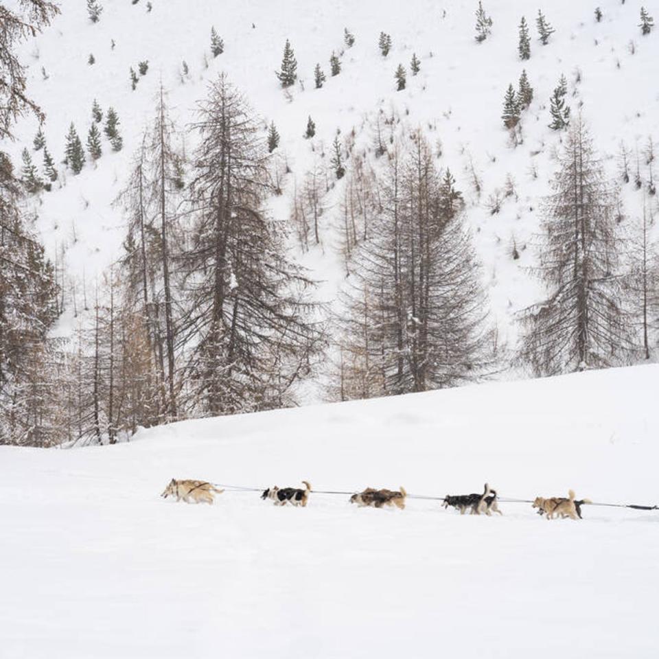 The snow-covered majestic mountains of Pays des Écrins National Park (Rogier Vrijn)