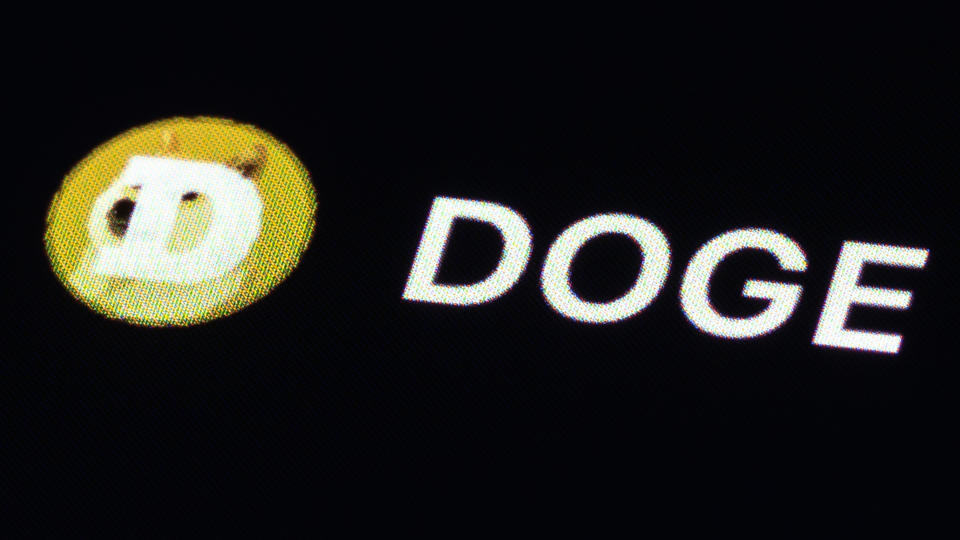 狗狗幣 Doge Coin（圖片來源：Getty Image）