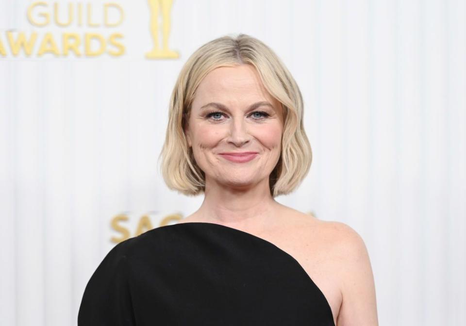 short hairstyles for thin hair amy poehler