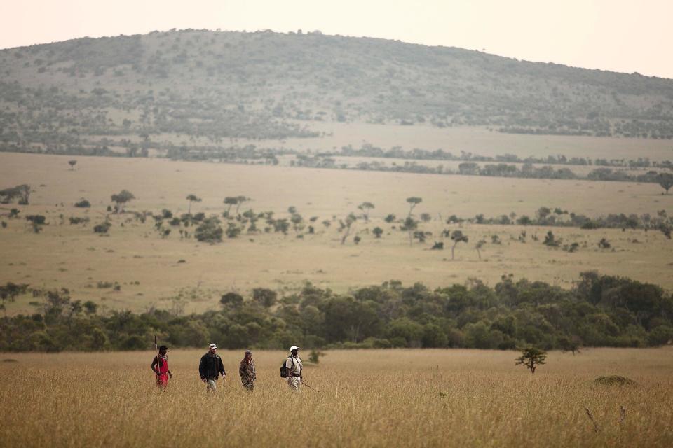 Klein's walking safari in Tanzanian