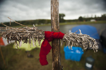 A sage tie, which has spiritual significance for Native American Plains tribes, hangs at the Seven Council camp, near the Standing Rock Sioux reservation in Cannon Ball, North Dakota, September 7, 2016. REUTERS/Andrew Cullen