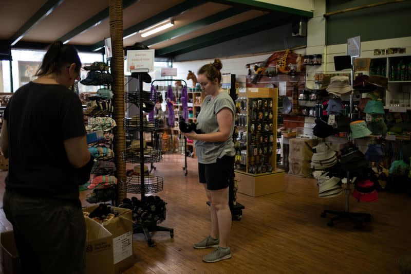 Employees of Mogo Zoo clean stuffed toy animals in the zoo's shop in the village of Mogo