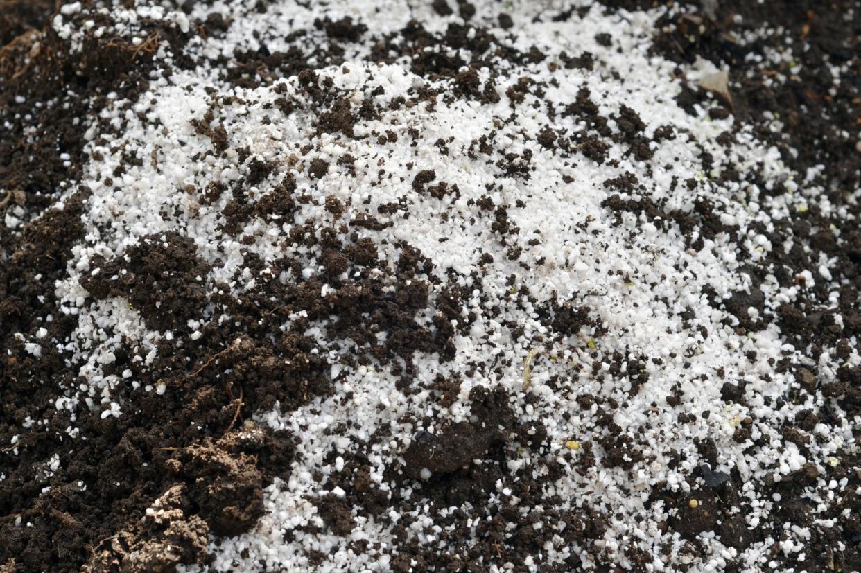  Tiny White Ball Shaped Perlite Potting Soil. 