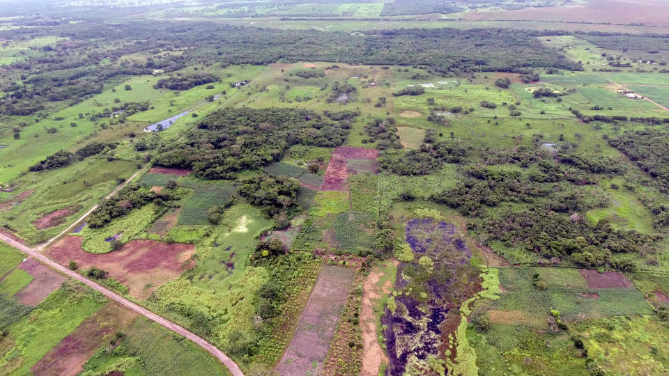 An aerial view of the Aguada Fenix site. The hidden Mayan platform, at the top of this photograph, is so large that it cannot be seen at ground level. (Takeshi Inomata)