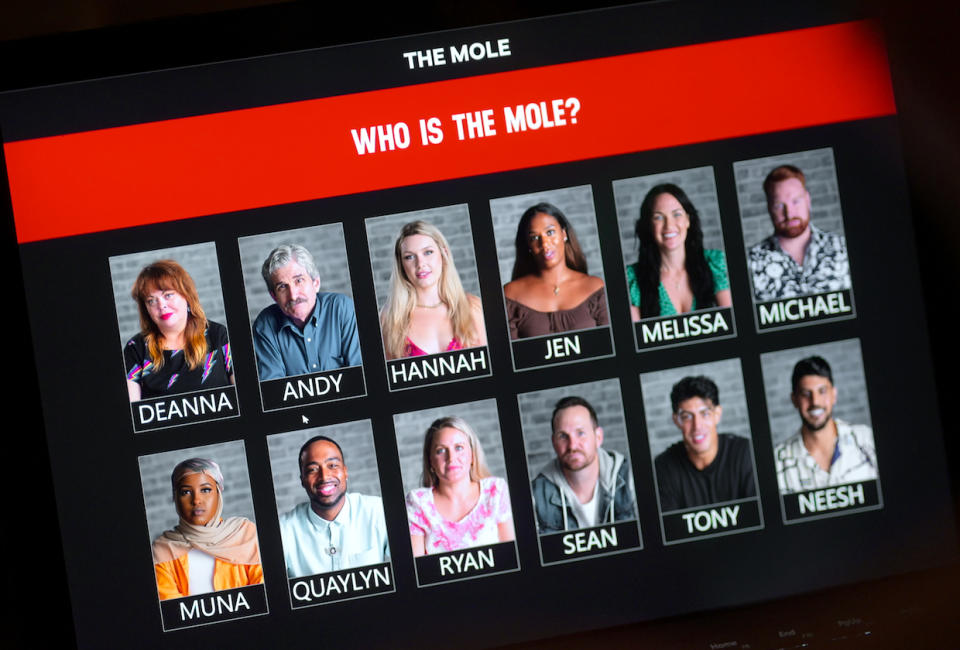 The Mole Season 2