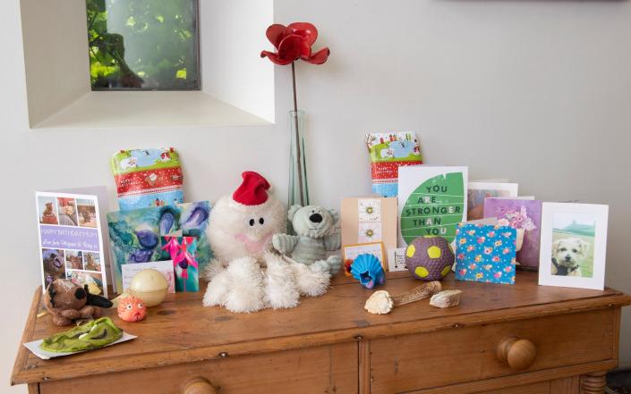 A memorial to Margie & Ruby in the Greenhough's home