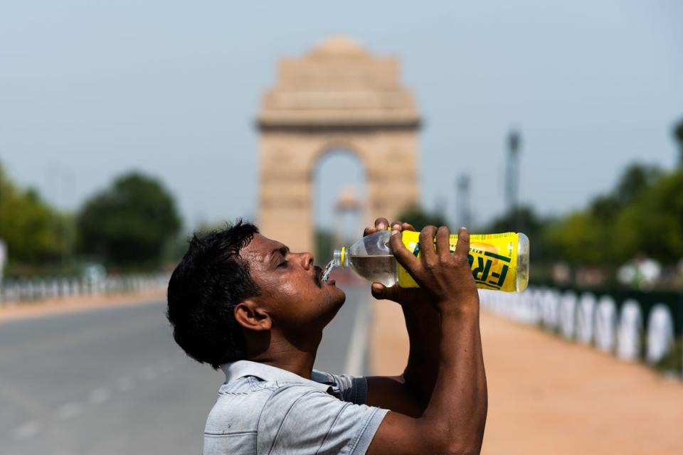 A worker quenches his thirst with water from a bottle taking a break from cleaning weeds from a park near India Gate amid rising temperatures in Delhi (AFP/Getty Images)