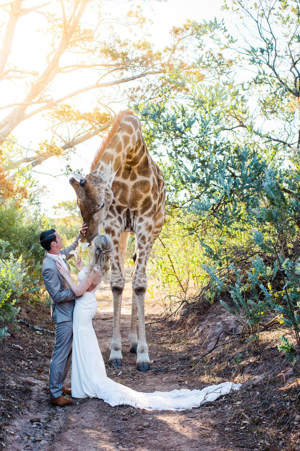 Norman called Abby a &ldquo;gentle giant.&rdquo; (Photo: <a href="https://www.stephanienormanphotography.com/" target="_blank">Stephanie Norman Photography</a>)