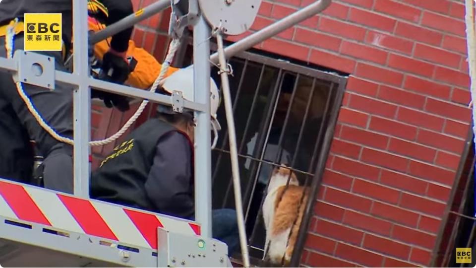 花蓮天王星大樓嚴重傾斜正進行拆除，但仍有住戶的寵物還在大樓內，所幸經消防局協助已順利救援。（翻攝自東森新聞YouTube直播）