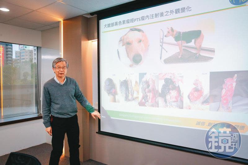 共信總經理林懋元逆向思考，把正在做臨床實驗的人類癌症用藥PTS100（微創靶向腫瘤消融）也用到寵物身上。