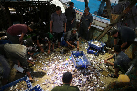 Palestinian fishermen collect their catch at the seaport of Gaza City early morning September 26, 2016. Picture taken September 26, 2016. REUTERS/Mohammed Salem