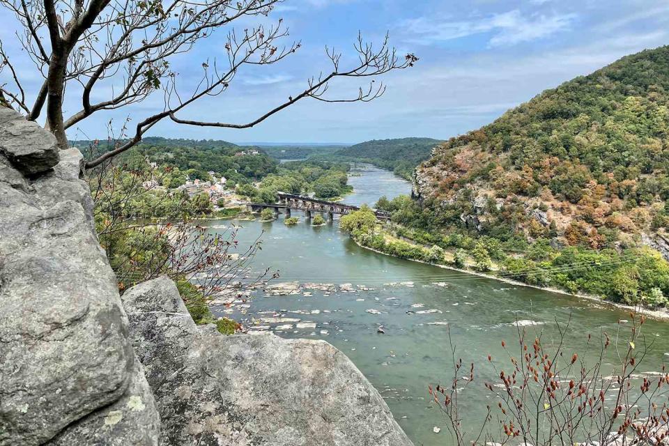 <p>Getty</p> Stock image of the Potomac River