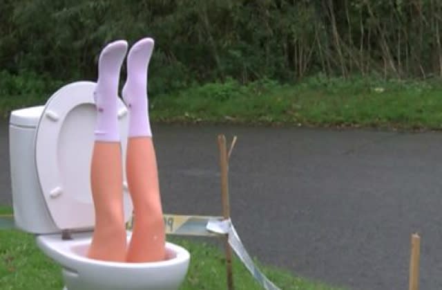 Mysterious mannequin in toilet sculpture left on Oxfordshire roundabout