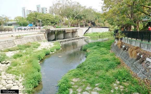 南市水利局多面向進行竹溪流域整治，透過拋石護岸、跌水、棲地營造及複層式植栽實現水清魚現、昆蟲現蹤目標。（記者李嘉祥攝）