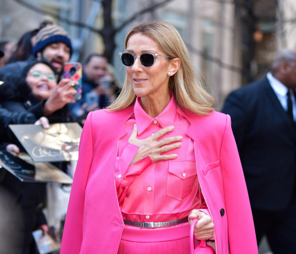 Celine Dion's sister revealed that they hadn't found anything 