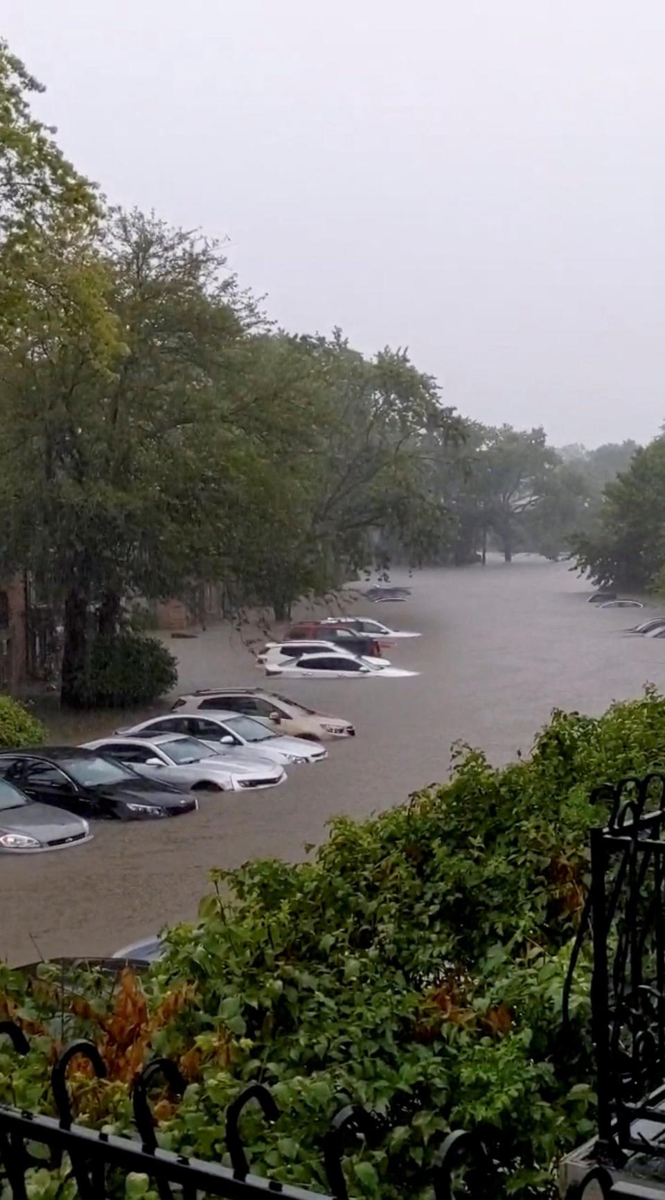 flooded street with a line of half-submerged cars lined with trees in the rain