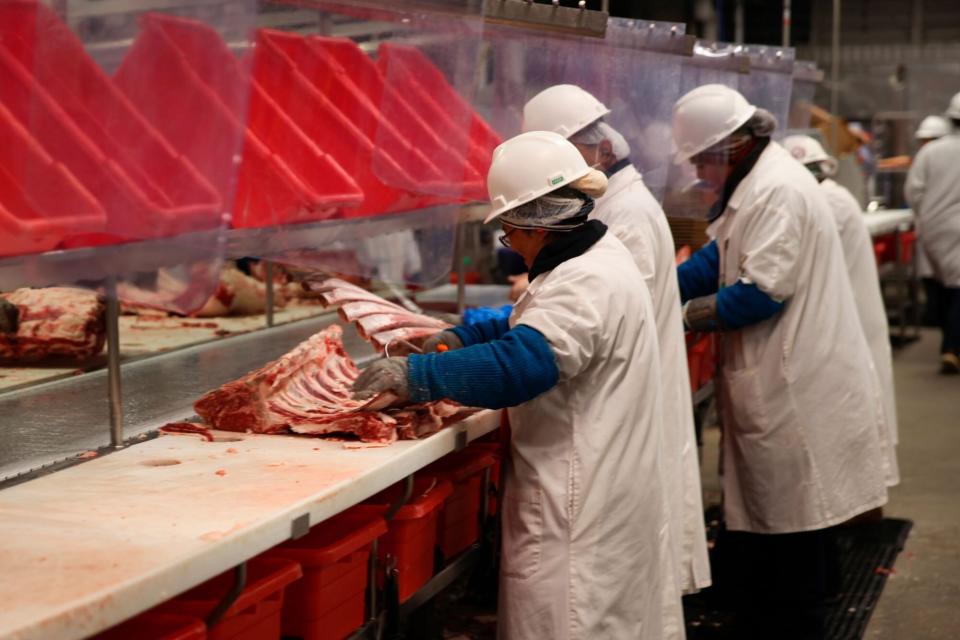 Mandatory Credit: Photo by Josh Funk/AP/Shutterstock (13605959b) Workers carve up cuts of beef at the Greater Omaha Packing beef processing plant in Omaha, Neb., on . Greater Omaha is receiving a $20 million grant to expand its operations as part of a larger USDA program to expand meat processing capacity and encourage more competition in the highly concentrated business Biden Meat Processing, Omaha, United States - 02 Nov 2022