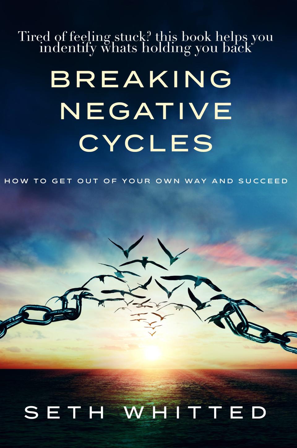 “Breaking Negative Cycles: How to Get Out of Your Own Way and Succeed," is the new book from Beaver Falls author Seth Whitted.