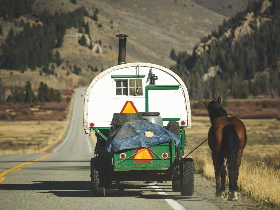 Sheep herder's carriage rolls down the highway in Ketchum, Idaho, USA