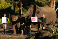 SYDNEY, AUSTRALIA - JUNE 27: 'Tukta' (L) and 'Pak Boon', female elephants stand with elephant handlers and their paint prints on canvases at Taronga Zoo on June 27, 2012 in Sydney, Australia. Taronga and Western Plains Zoo today pledged a a new elephant conservation project in Thailand and animals at Taronga made their pledge by dipping their feet and hands in paint and smudging them on canvas. (Photo by Cameron Spencer/Getty Images)