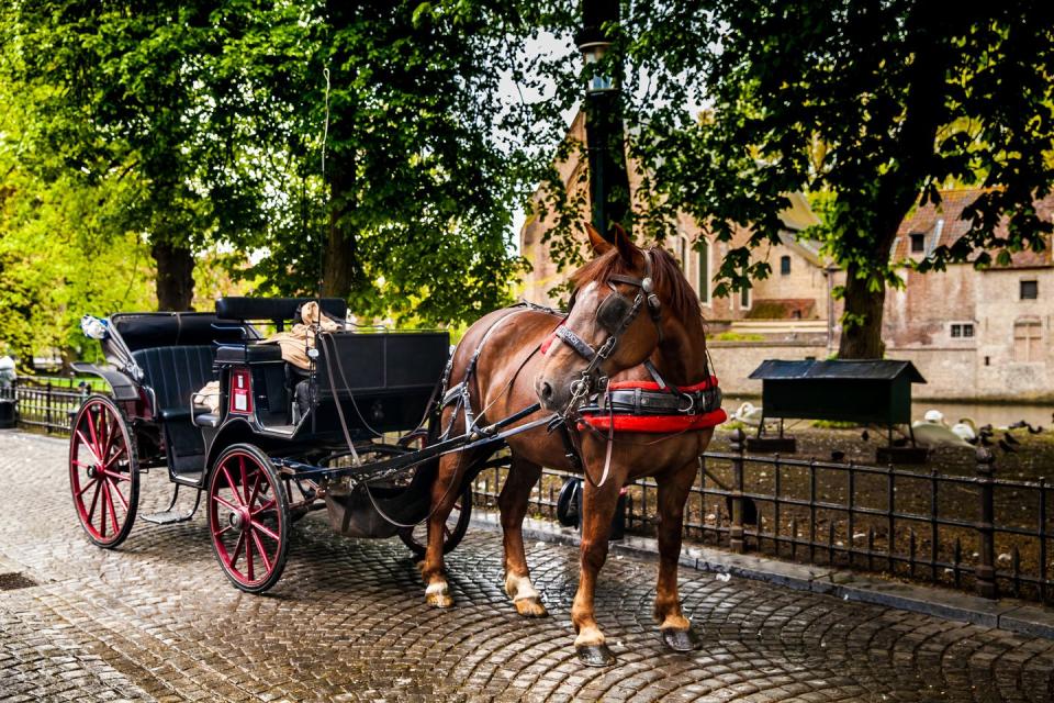 Take a carriage ride.