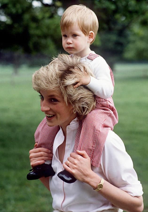 It took two decades for Prince Harry to start properly processing his mother's death. Photo: Getty