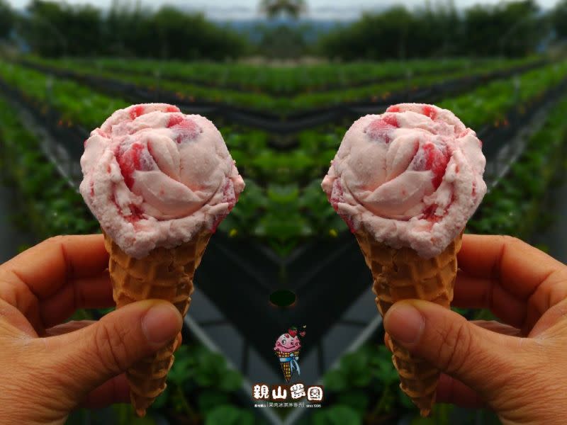 ▲園區自製的草莓冰淇淋更是大受好評。（圖／翻攝台東關山親山農園）