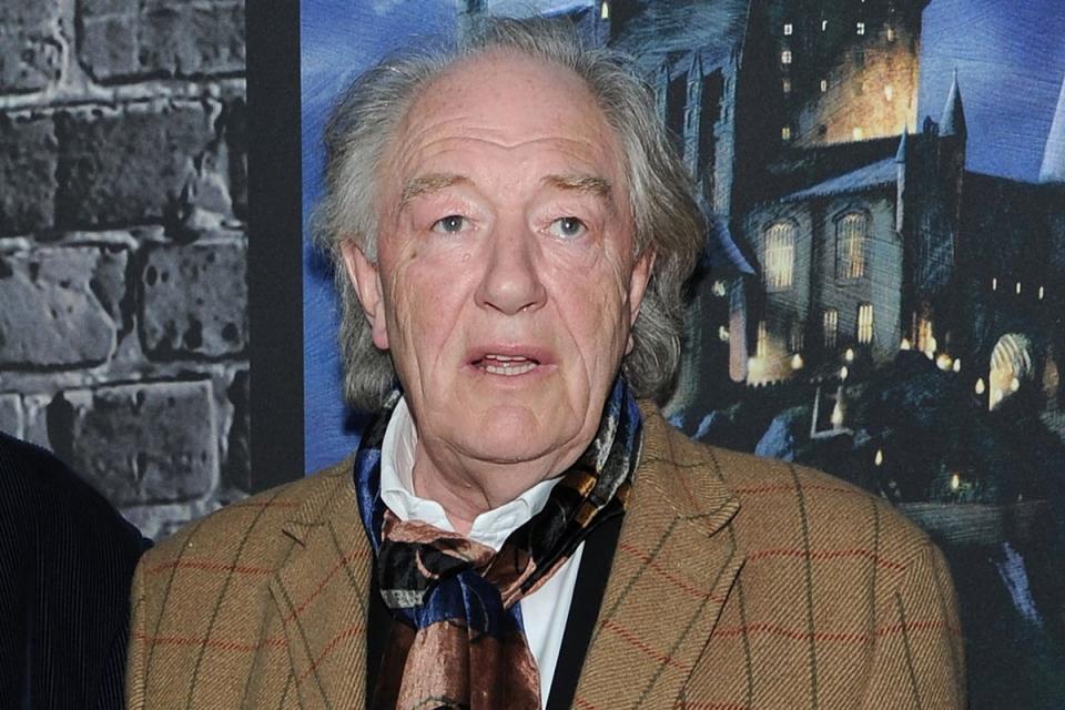 Sir Michael Gambon passed away in September last year (Getty)