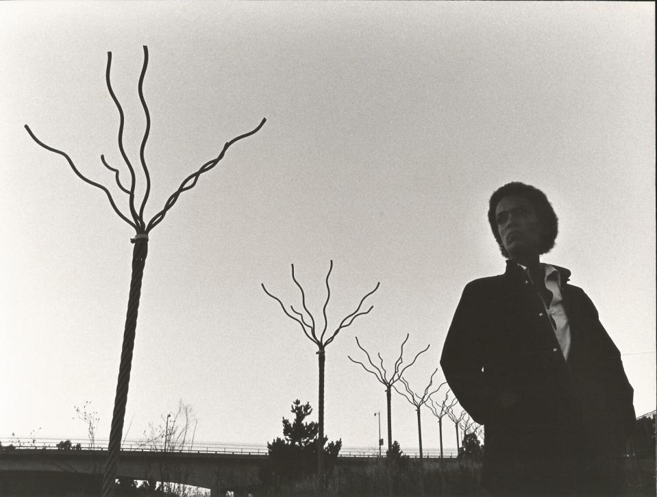 Maren Hasssinger, "Twelve Trees #2," (Documentation Photograph), 1979, Black and white photograph