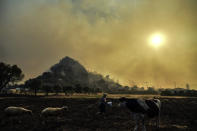 A woman leaves with her animals from an advancing fire that rages Hisaronu area, Turkey, Monday, Aug. 2, 2021. For the sixth straight day, Turkish firefighters battled Monday to control the blazes that are tearing through forests near Turkey's beach destinations. Fed by strong winds and scorching temperatures, the fires that began Wednesday have left eight people dead. Residents and tourists have fled vacation resorts in flotillas of small boats or convoys of cars and trucks. (AP Photo)