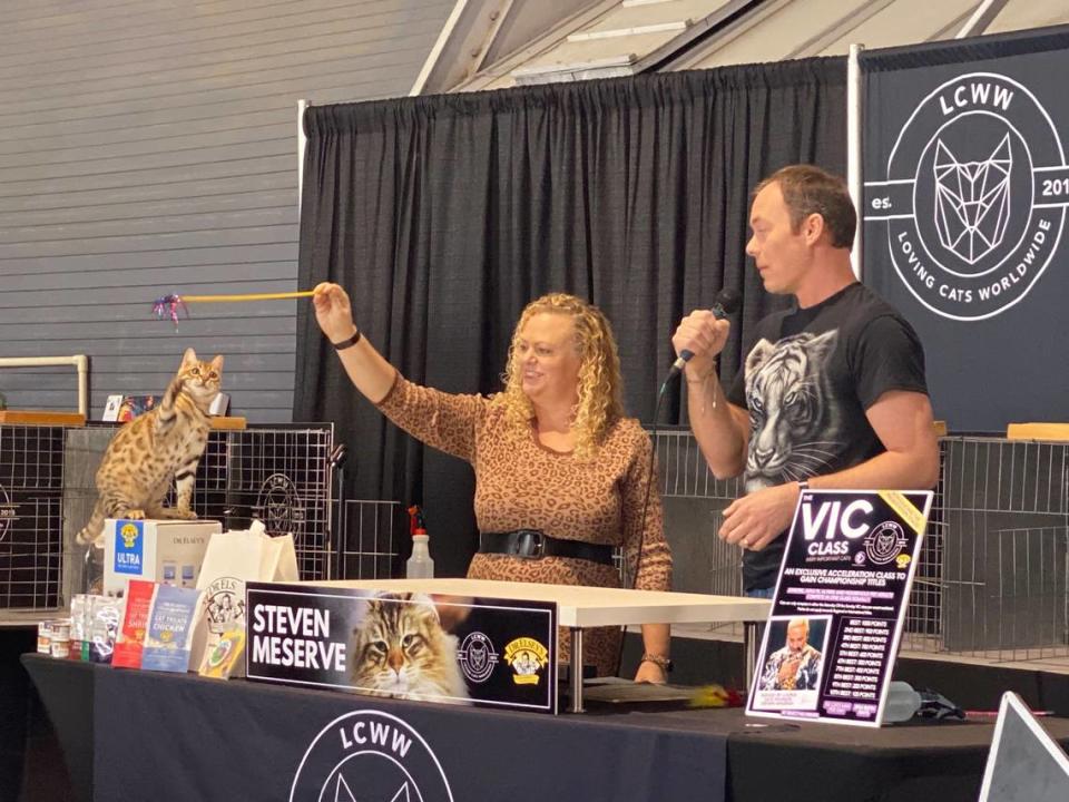 Robyn Paterson, left, dangles a toy for Charisma, a bengal cat as Jon Paterson explains characteristics of the breed to attendees of Catstravaganza on Sunday at Cal Expo.