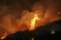 <p>Flames flare up from a wildfire near Placenta Caynon Road in Santa Clarita, Calif., July 24, 2016. (AP Photo/Ringo H.W. Chiu)</p>