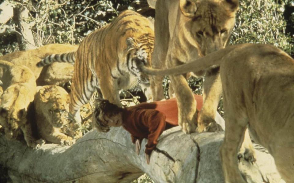 Tippi Hedren in 'Roar'