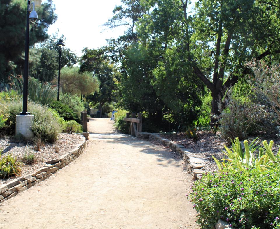 Wide peaceful pathways to meander at The Fullerton Arboretum.