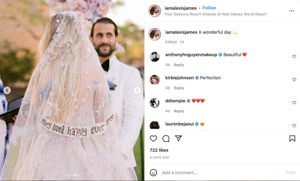 A picture of James' wedding veil.