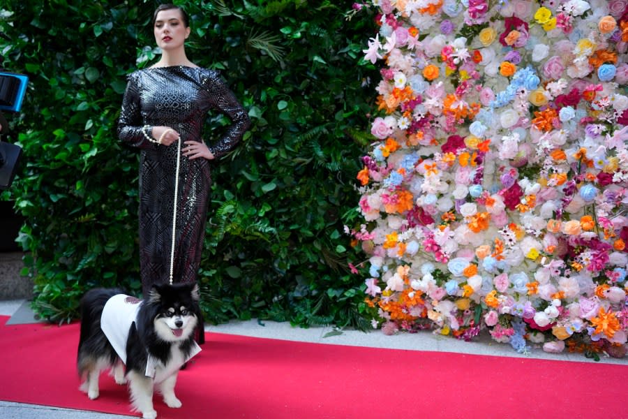 A dog and model attend the Pet Gala fashion show at AKC Museum of The Dog, Monday, May 20, 2024, in New York. (Photo by Charles Sykes/Invision/AP)