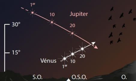 Il est 45 minutes après le coucher du Soleil. Les positions de Jupiter 
et de Vénus sont données le 1er, 10 et 20 février. La couleur rosée de 
Jupiter a pour but de faciliter la compréhension de la scène. Crédit : Johan Kieken / Sciences et Avenir