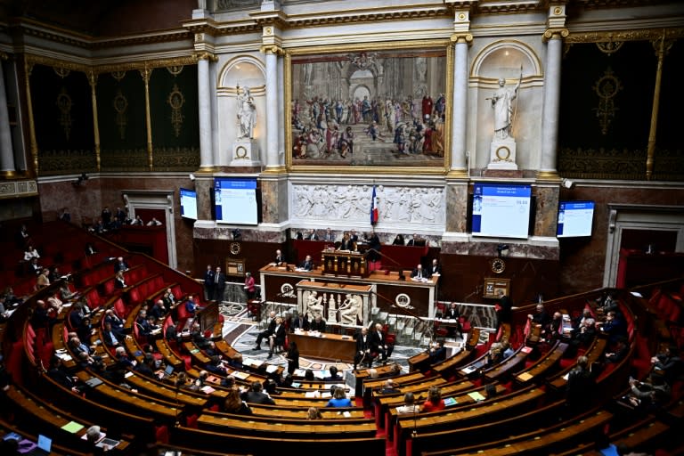 The constitutional right to abortion passed easily in the National Assembly but faces a tougher audience in the French Senate (JULIEN DE ROSA)
